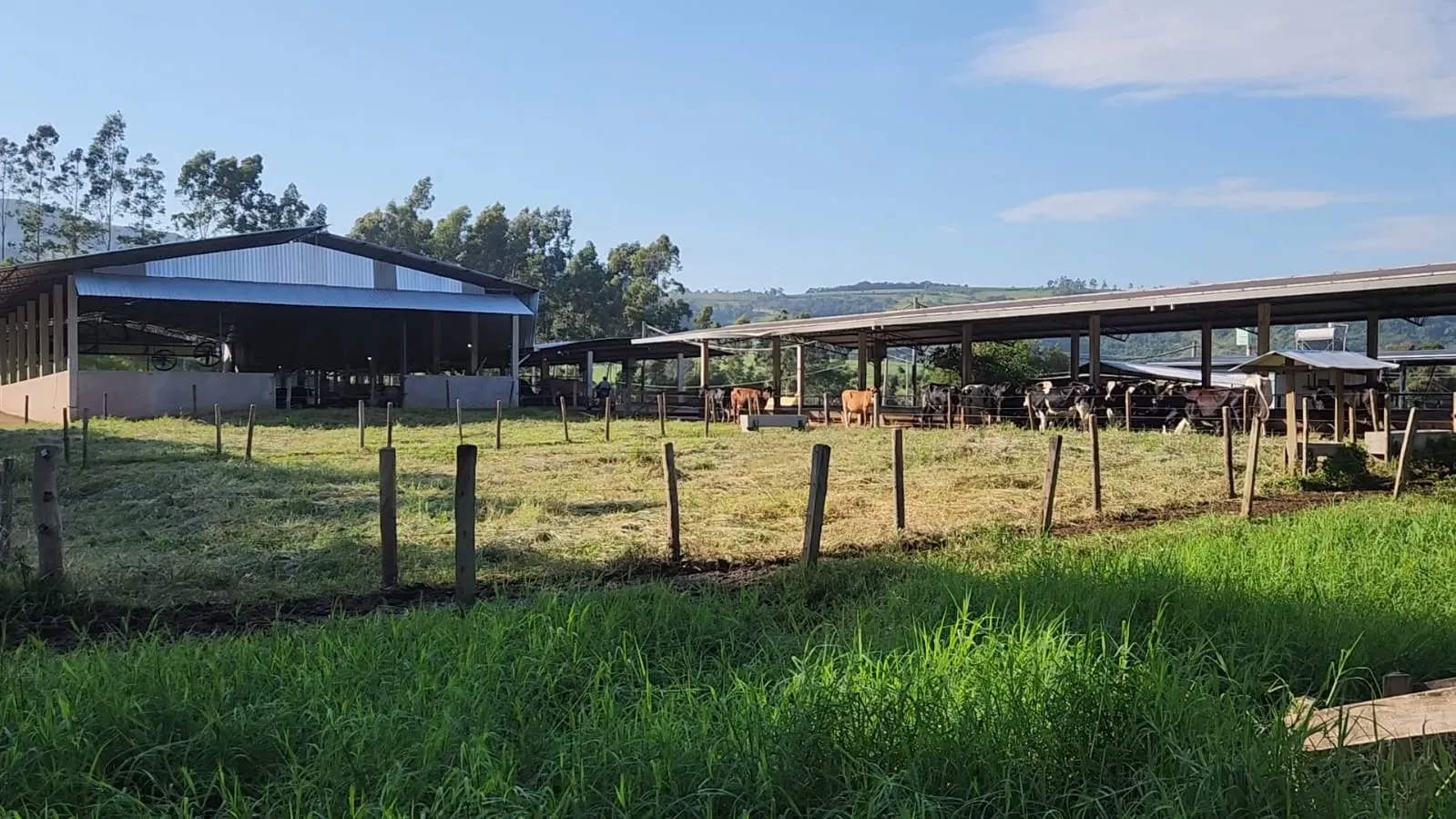Fazenda à venda de 212 ha em Brotas, SP, Brasil