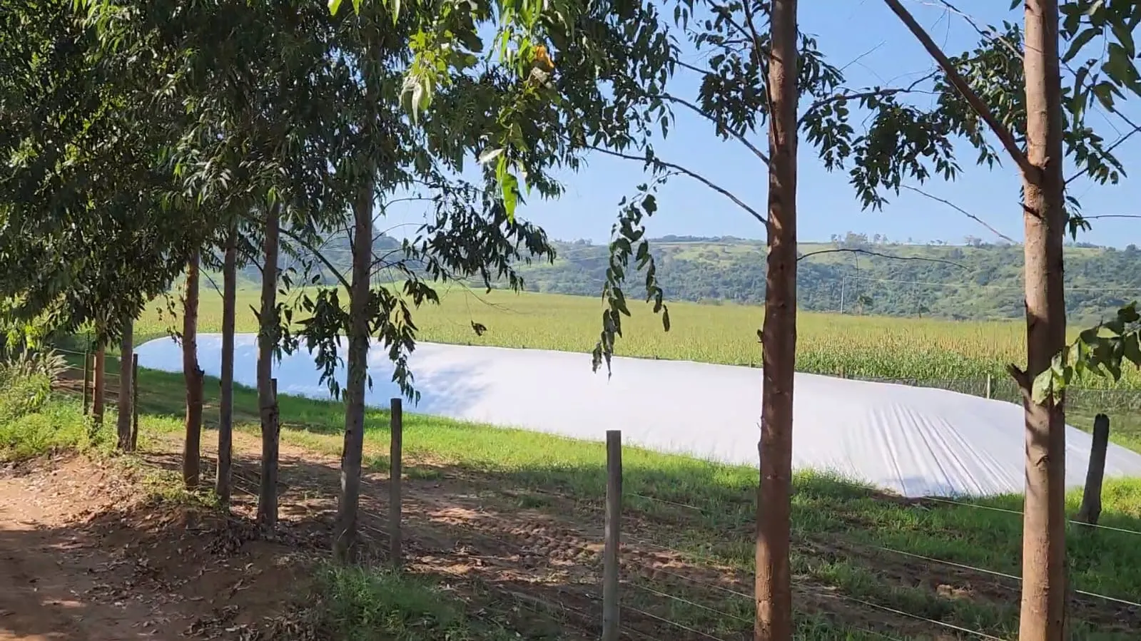 Fazenda à venda de 212 ha em Brotas, SP, Brasil