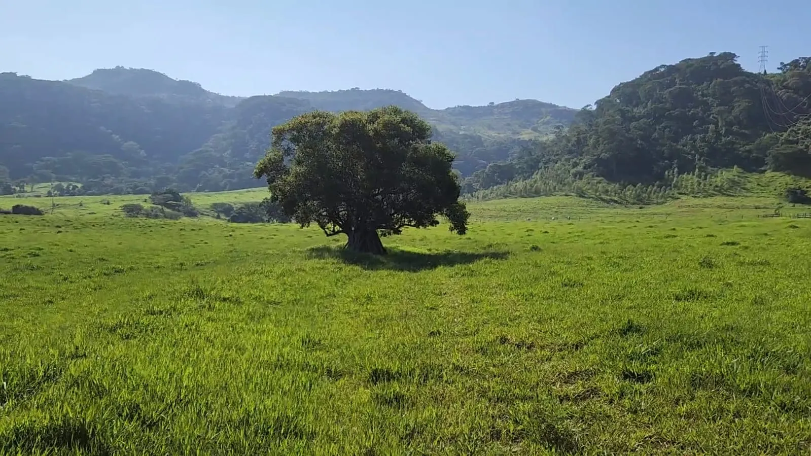 Fazenda à venda de 212 ha em Brotas, SP, Brasil