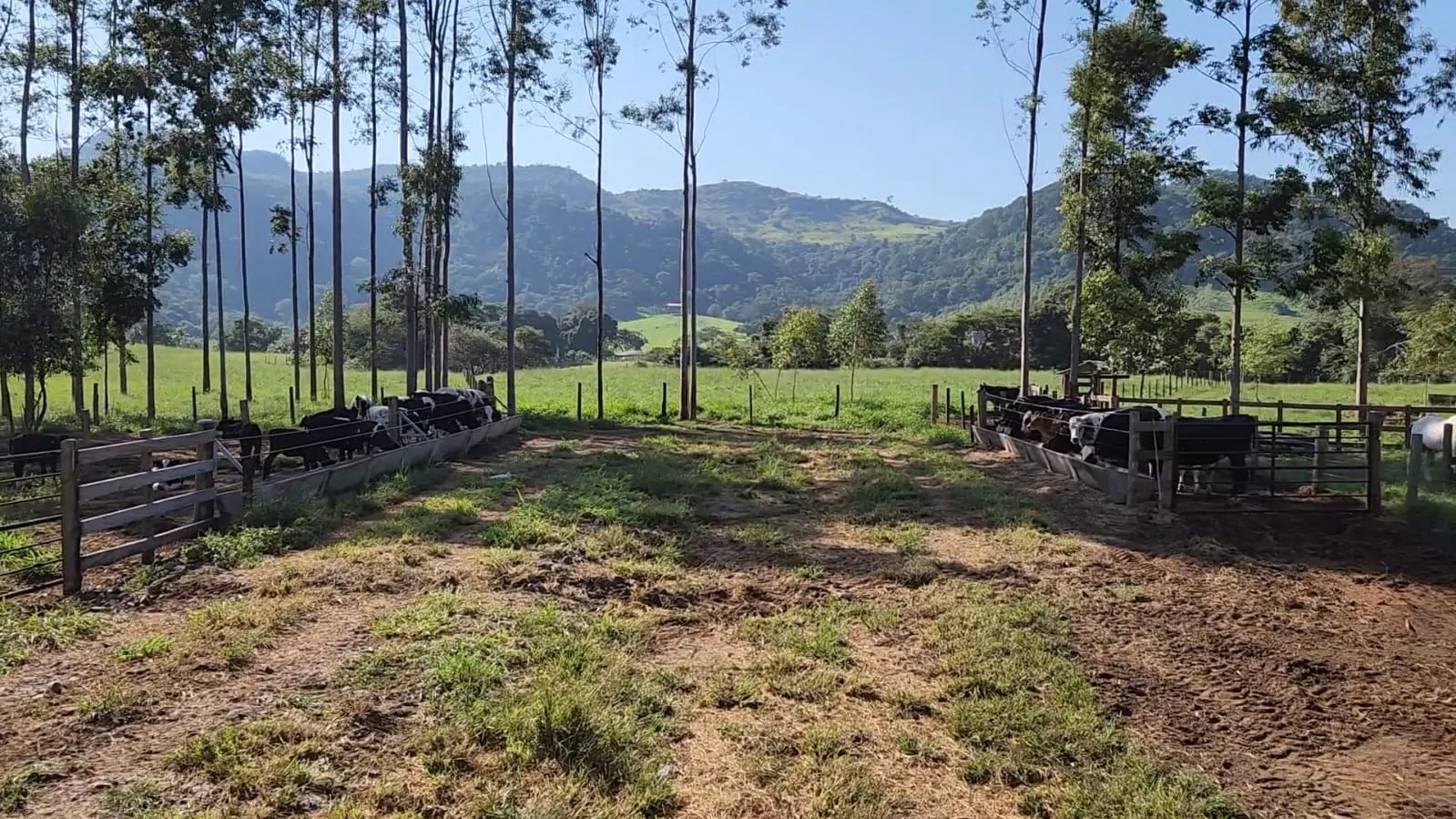 Fazenda à venda de 212 ha em Brotas, SP, Brasil
