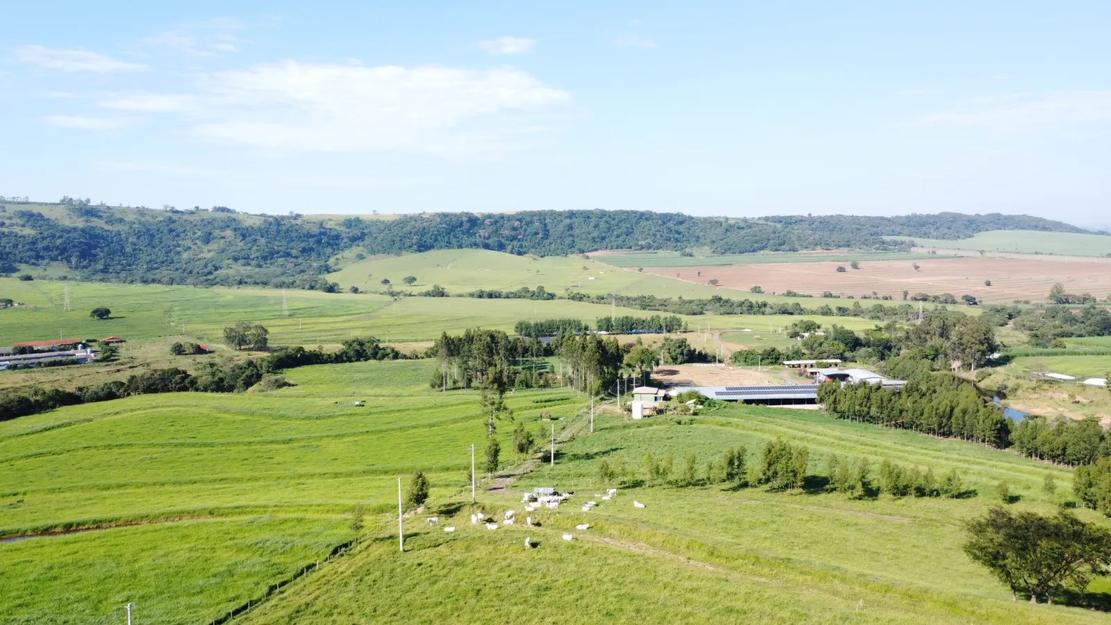 Fazenda à venda de 212 ha em Brotas, SP, Brasil