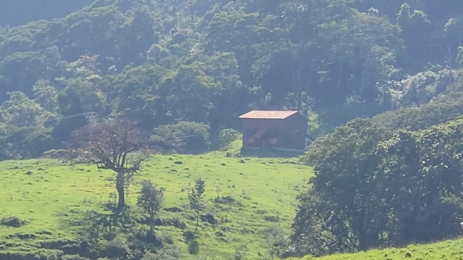 Fazenda à venda de 212 ha em Brotas, SP, Brasil