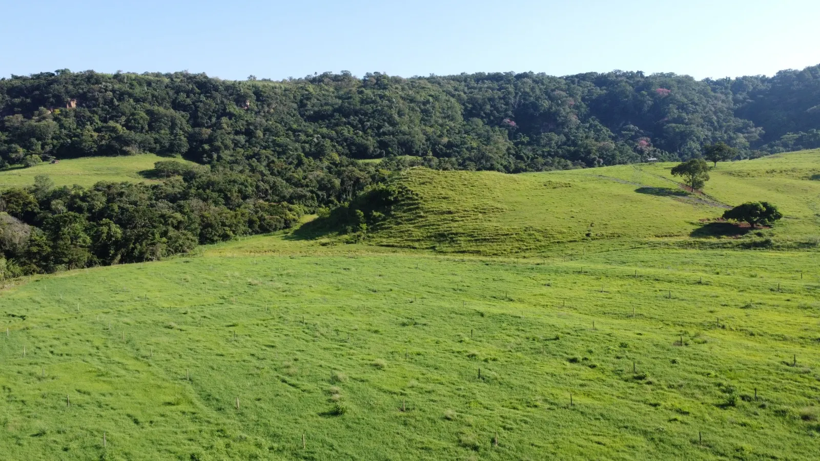 Fazenda à venda de 212 ha em Brotas, SP, Brasil