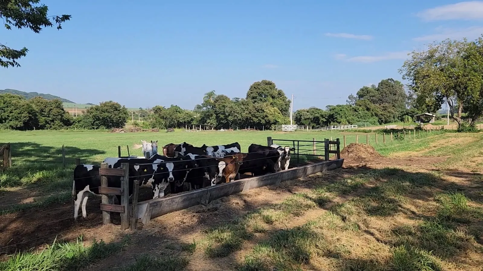 Fazenda à venda de 212 ha em Brotas, SP, Brasil