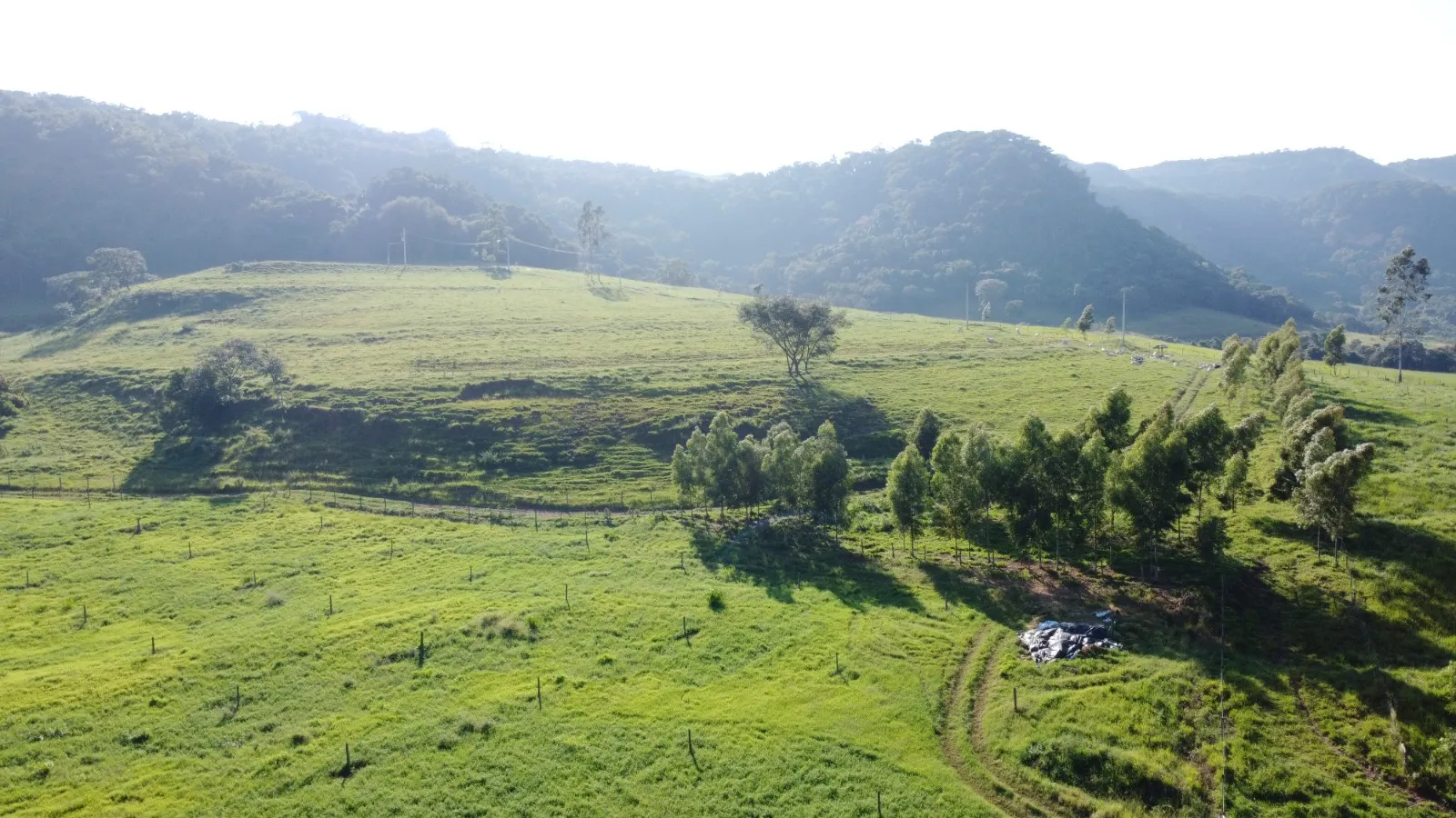 Fazenda à venda de 212 ha em Brotas, SP, Brasil
