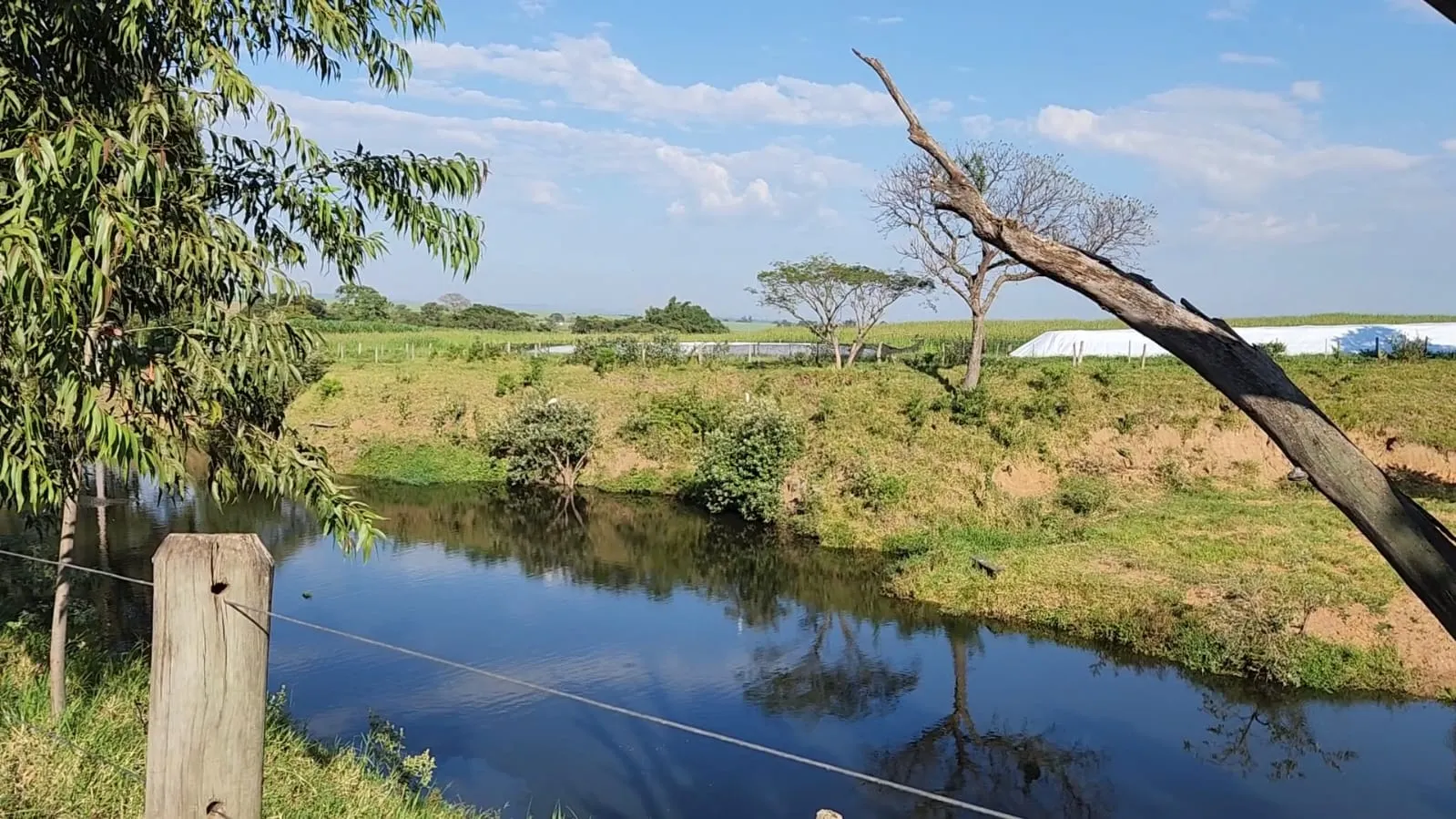 Fazenda à venda de 212 ha em Brotas, SP, Brasil