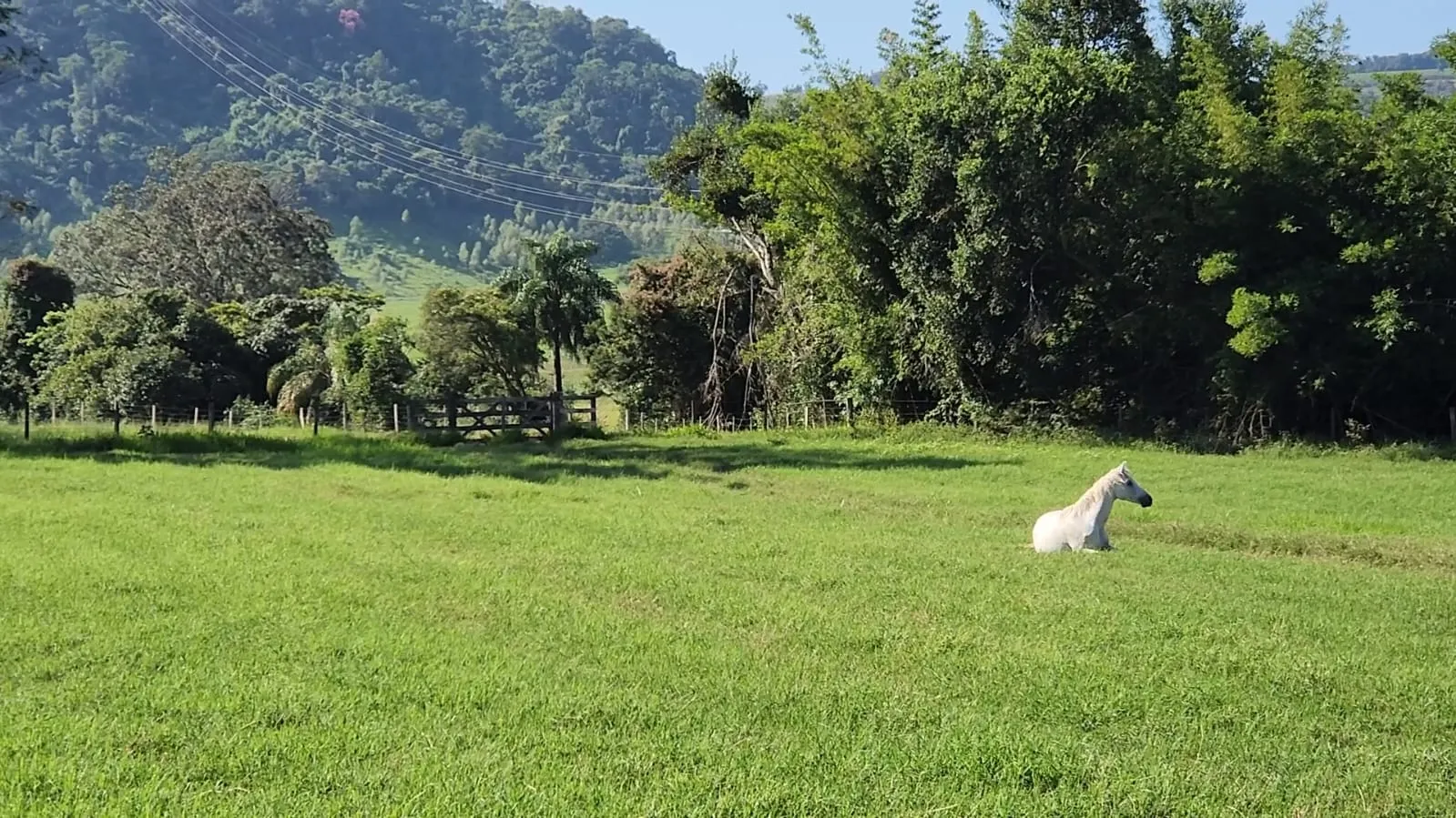 Fazenda à venda de 212 ha em Brotas, SP, Brasil