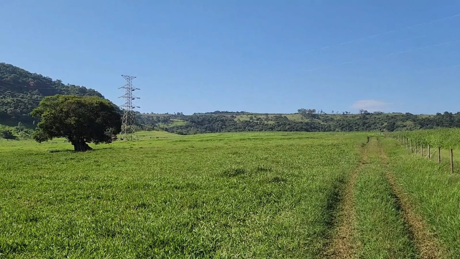 Fazenda à venda de 212 ha em Brotas, SP, Brasil