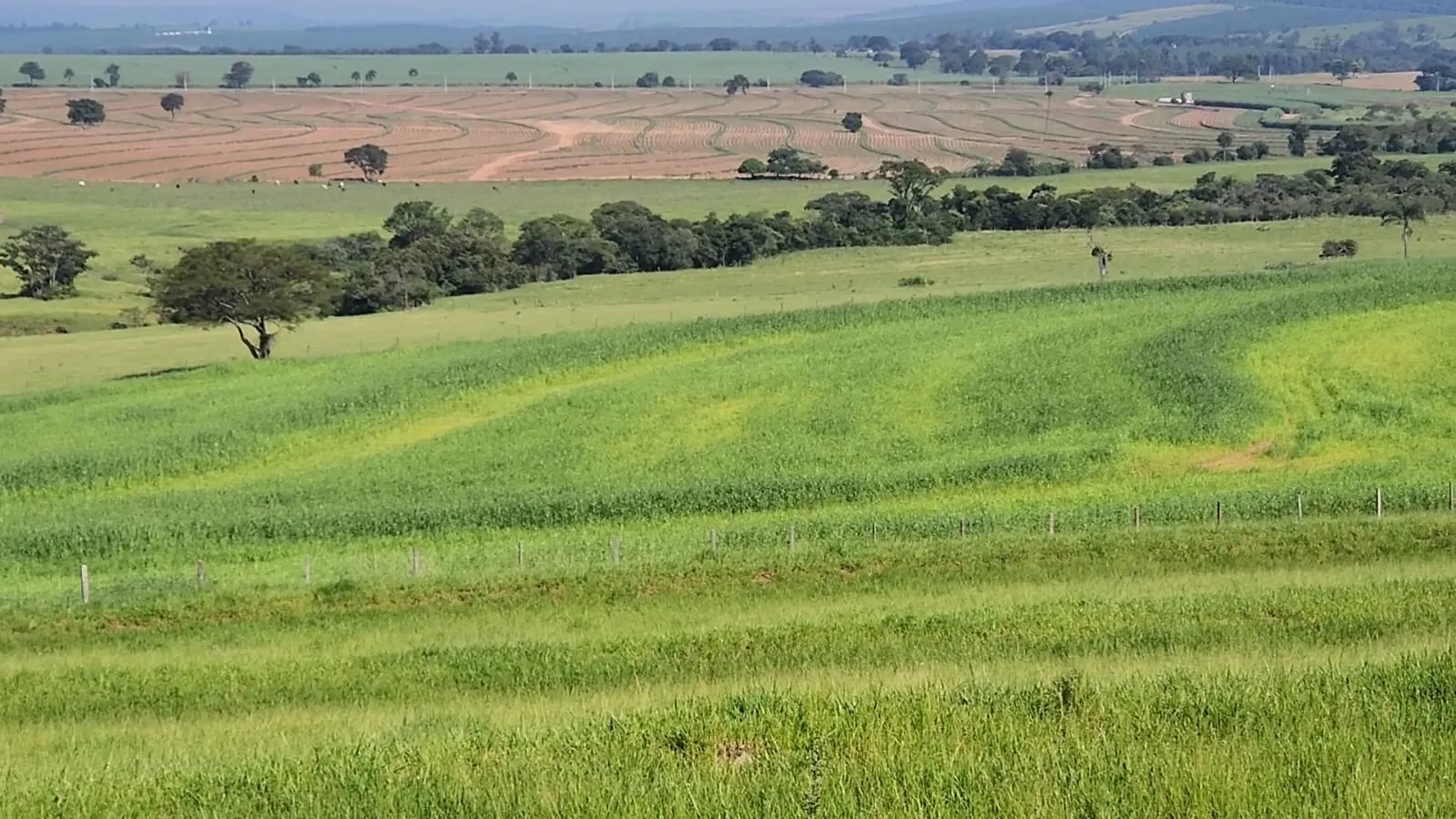 Fazenda à venda de 212 ha em Brotas, SP, Brasil