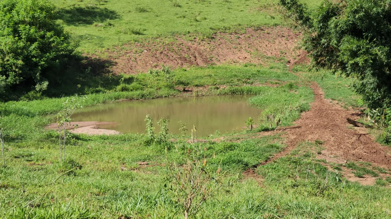 Fazenda à venda de 212 ha em Brotas, SP, Brasil