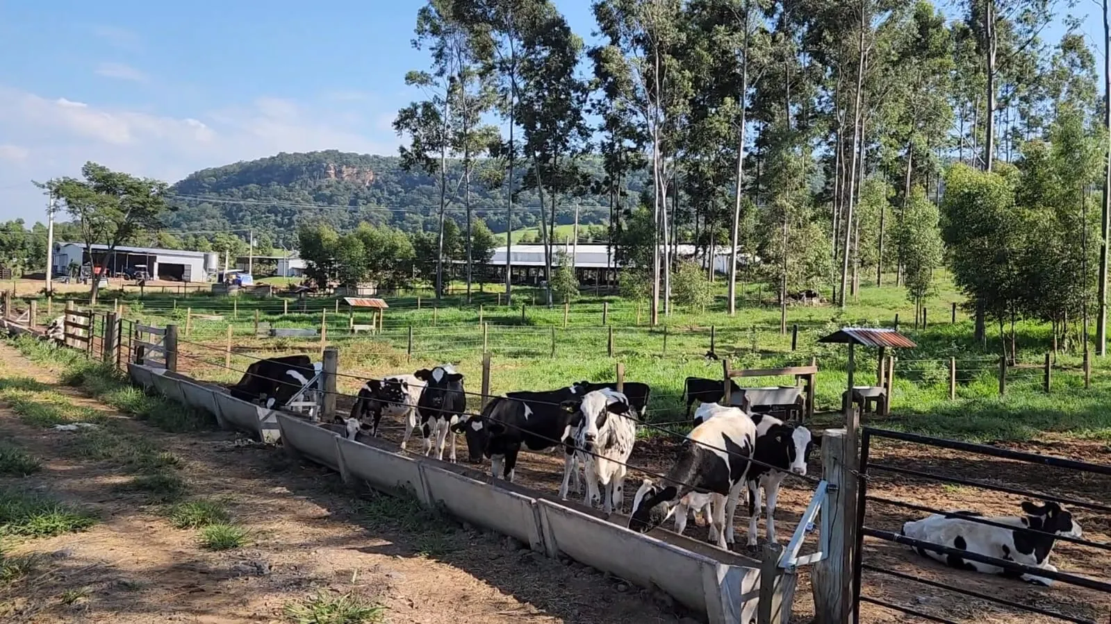 Fazenda à venda de 212 ha em Brotas, SP, Brasil