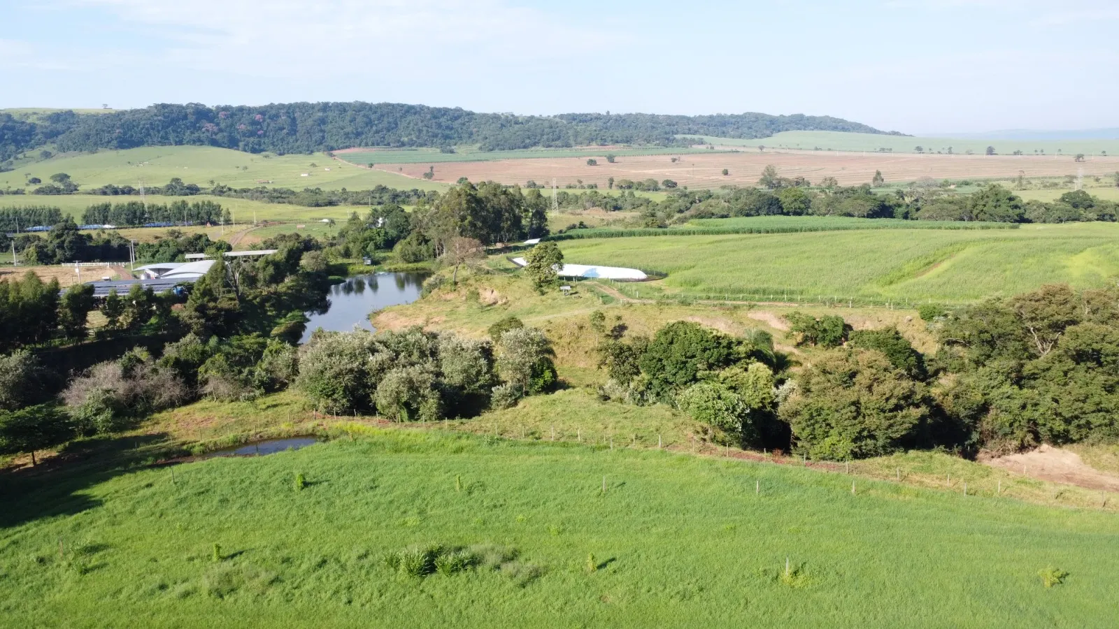 Fazenda à venda de 212 ha em Brotas, SP, Brasil