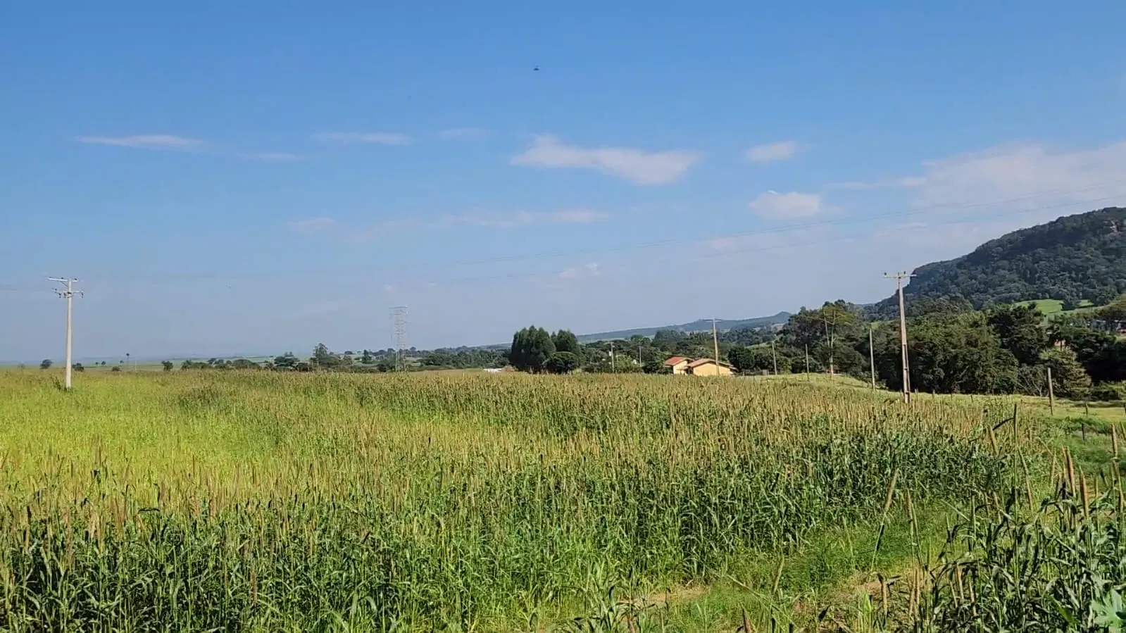 Fazenda à venda de 212 ha em Brotas, SP, Brasil