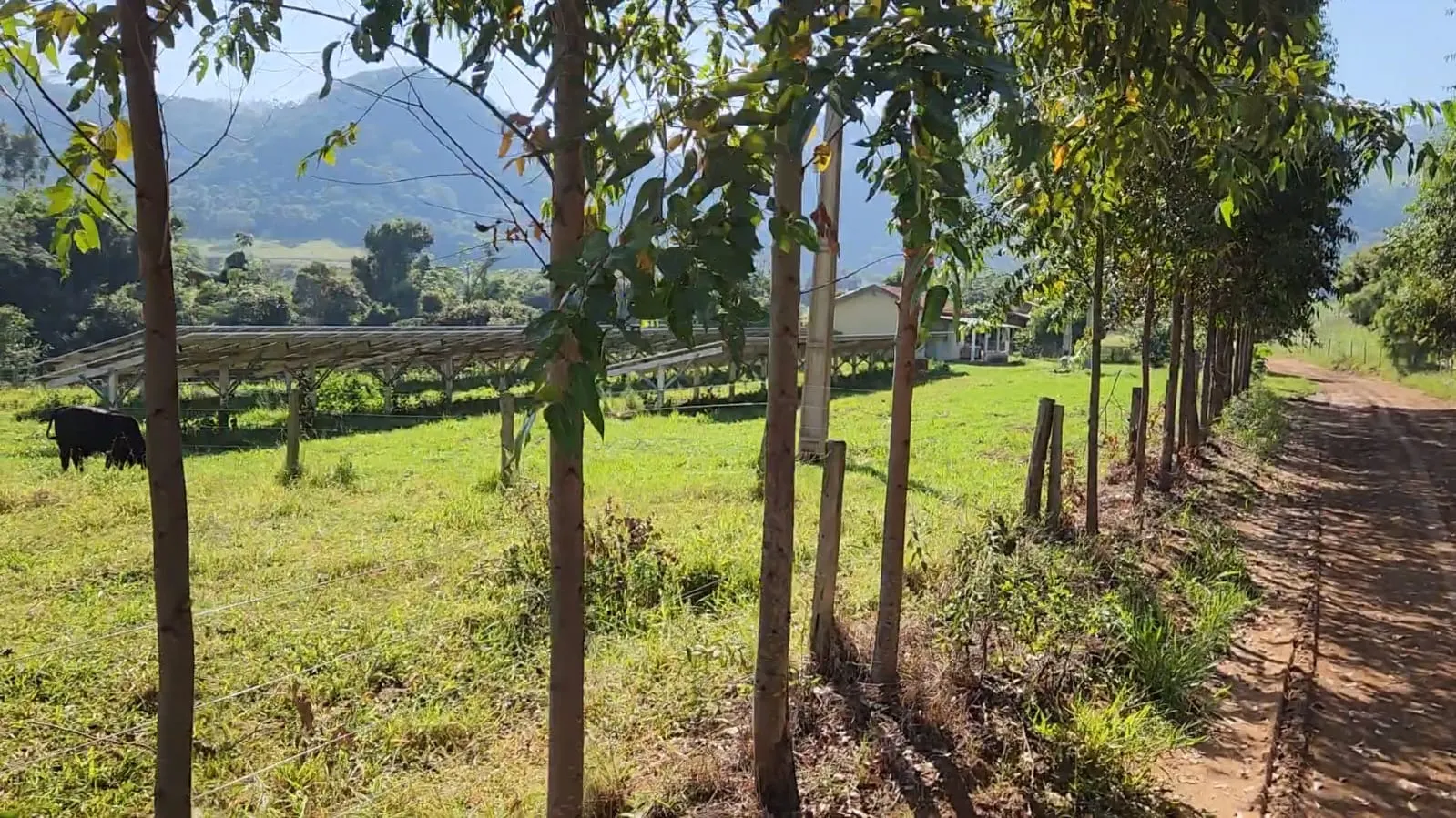 Fazenda à venda de 212 ha em Brotas, SP, Brasil