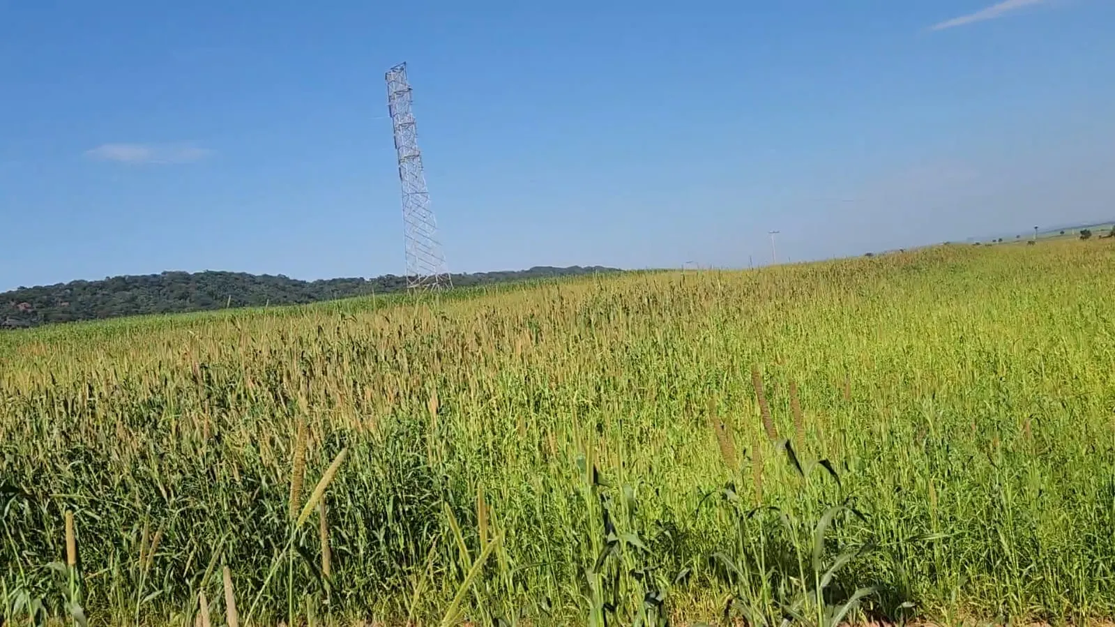 Fazenda à venda de 212 ha em Brotas, SP, Brasil