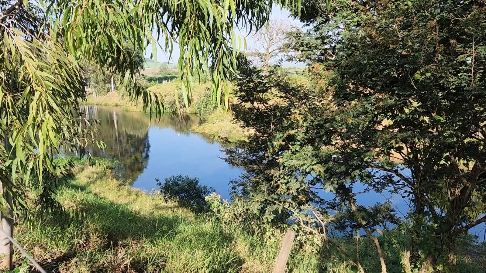 Fazenda à venda de 212 ha em Brotas, SP, Brasil