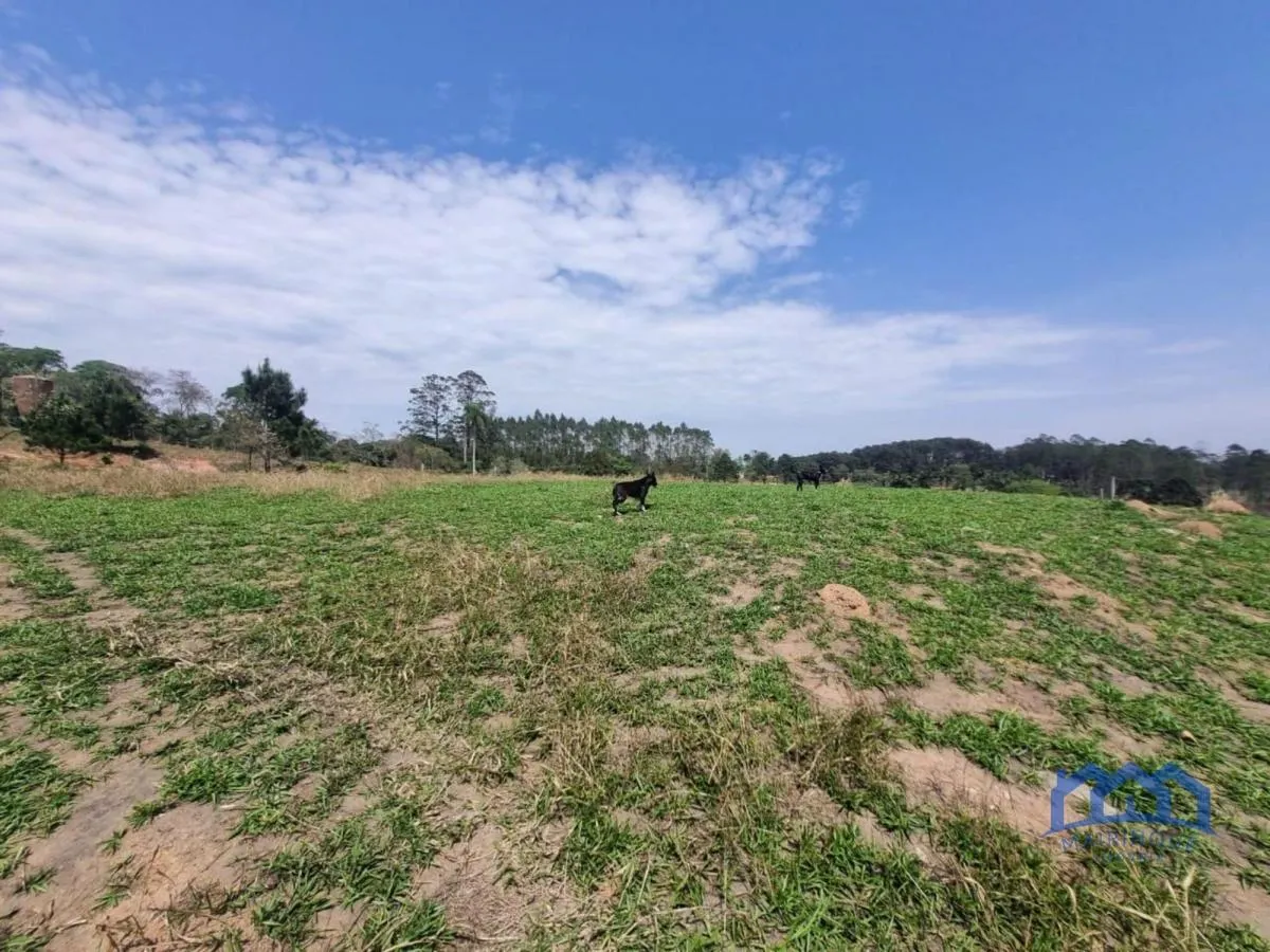 Sítio à venda de 4 ha em São Roque, SP, Brasil