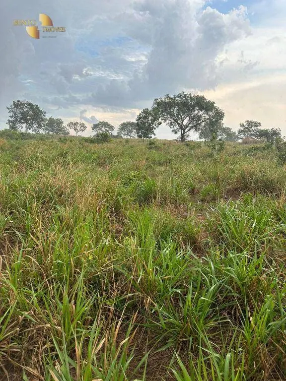 Farm for sale of 890 acres in Poxoréu, MT, Brazil