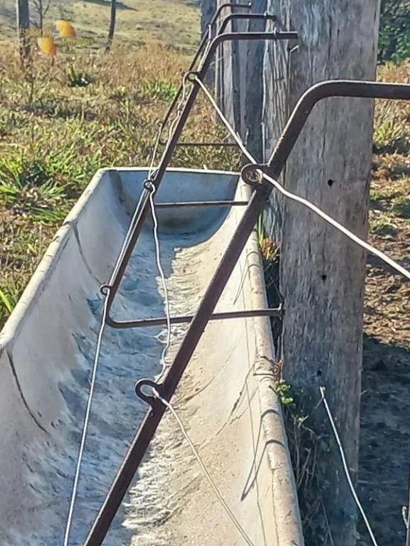 Fazenda à venda de 207 ha em Juscimeira, MT, Brasil