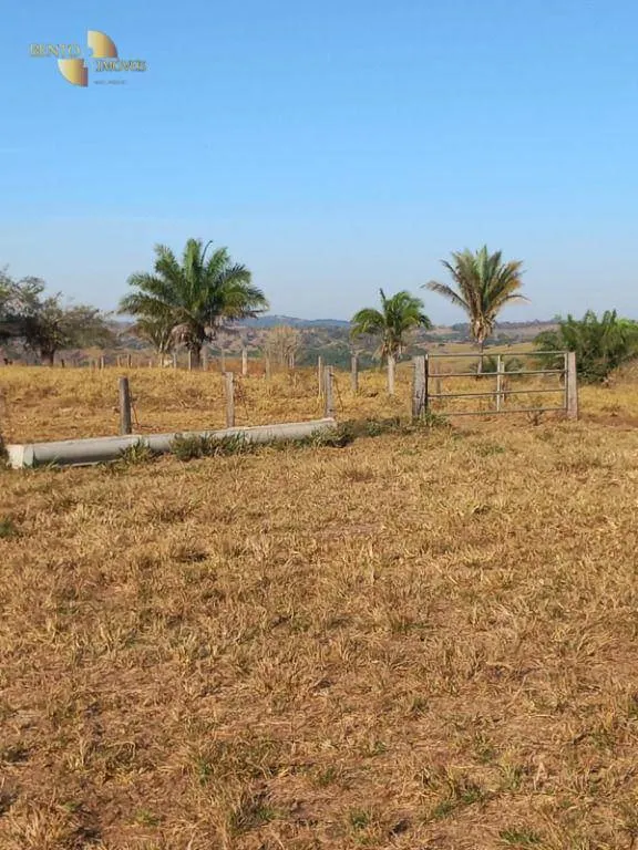 Fazenda à venda de 207 ha em Juscimeira, MT, Brasil