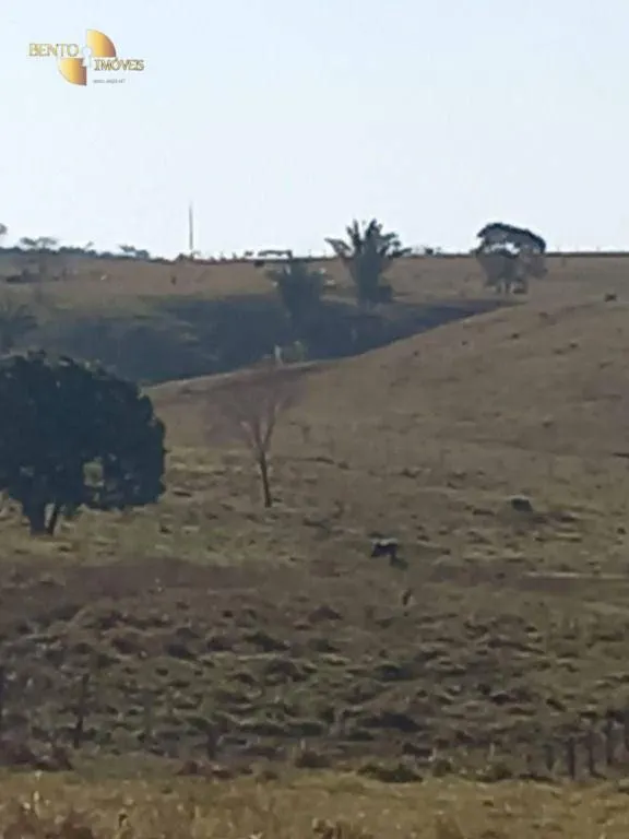 Fazenda à venda de 207 ha em Juscimeira, MT, Brasil