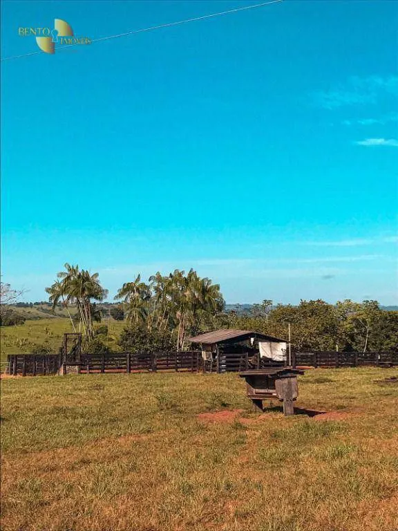 Fazenda à venda de 207 ha em Juscimeira, MT, Brasil