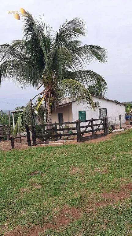 Fazenda à venda de 207 ha em Juscimeira, MT, Brasil