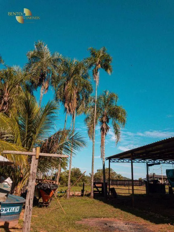 Fazenda à venda de 207 ha em Juscimeira, MT, Brasil