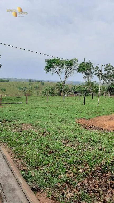 Fazenda à venda de 207 ha em Juscimeira, MT, Brasil