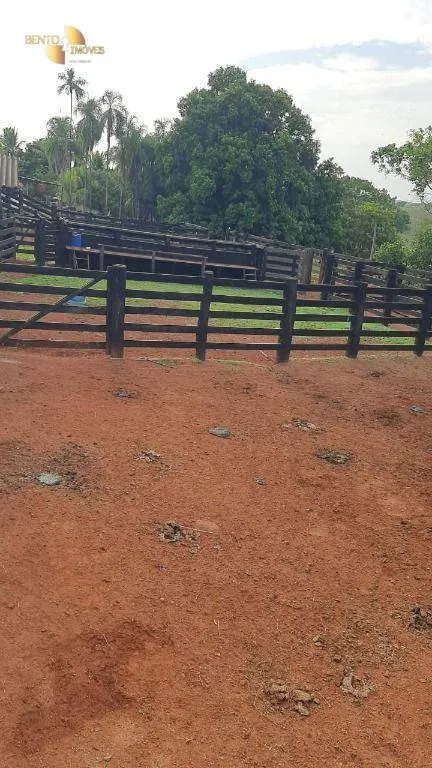 Fazenda à venda de 207 ha em Juscimeira, MT, Brasil