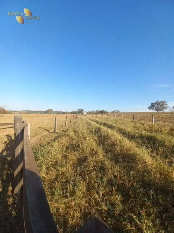 Fazenda à venda de 207 ha em Juscimeira, MT, Brasil