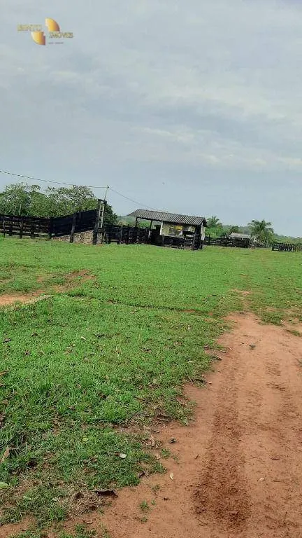 Fazenda à venda de 207 ha em Juscimeira, MT, Brasil