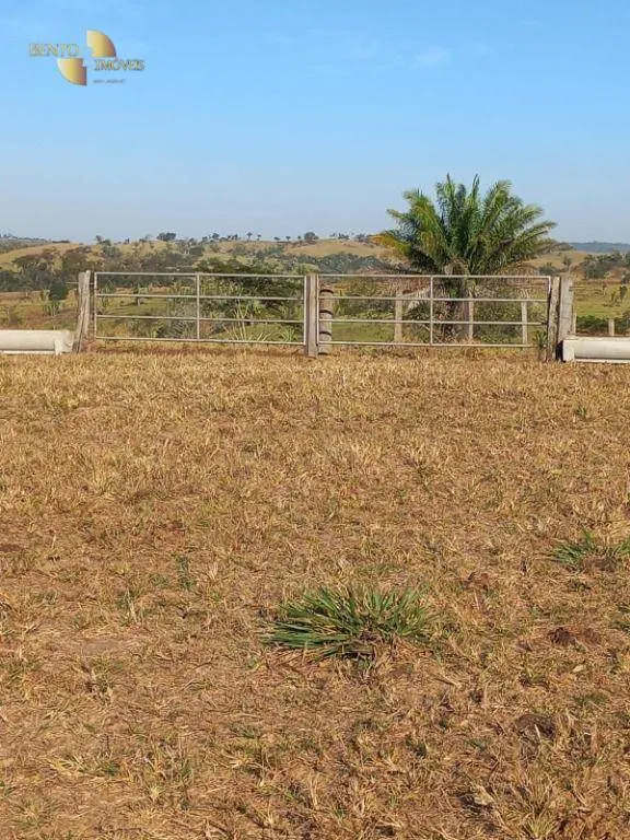 Fazenda à venda de 207 ha em Juscimeira, MT, Brasil