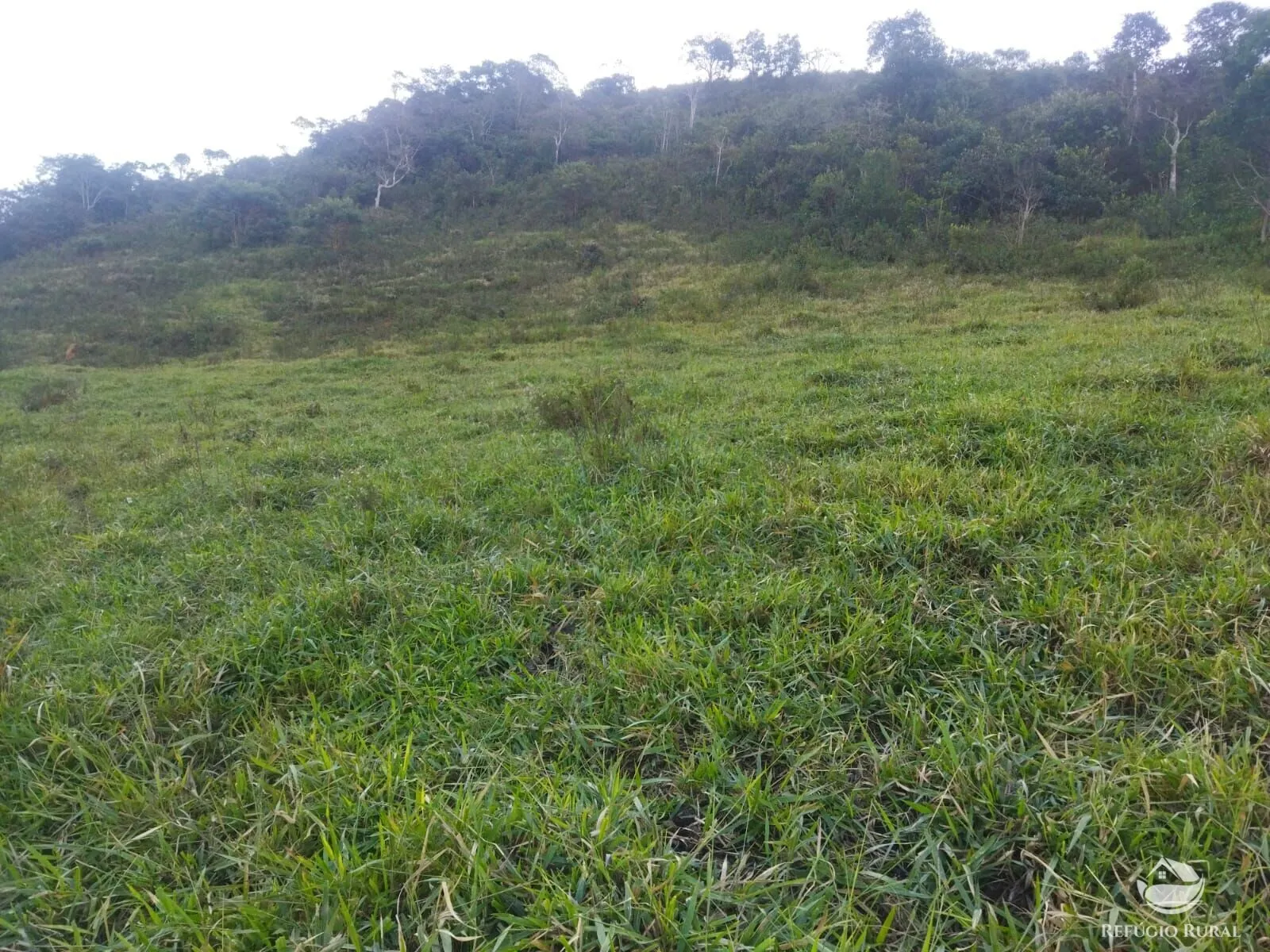 Terreno à venda de 2 ha em São José dos Campos, SP, Brasil
