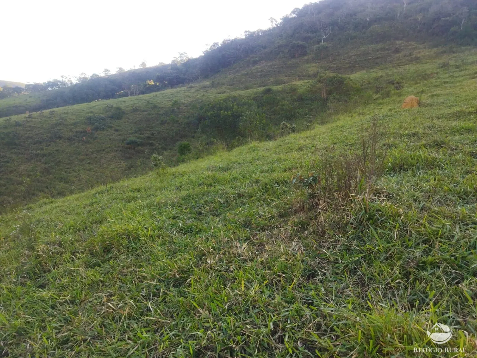 Terreno à venda de 2 ha em São José dos Campos, SP, Brasil