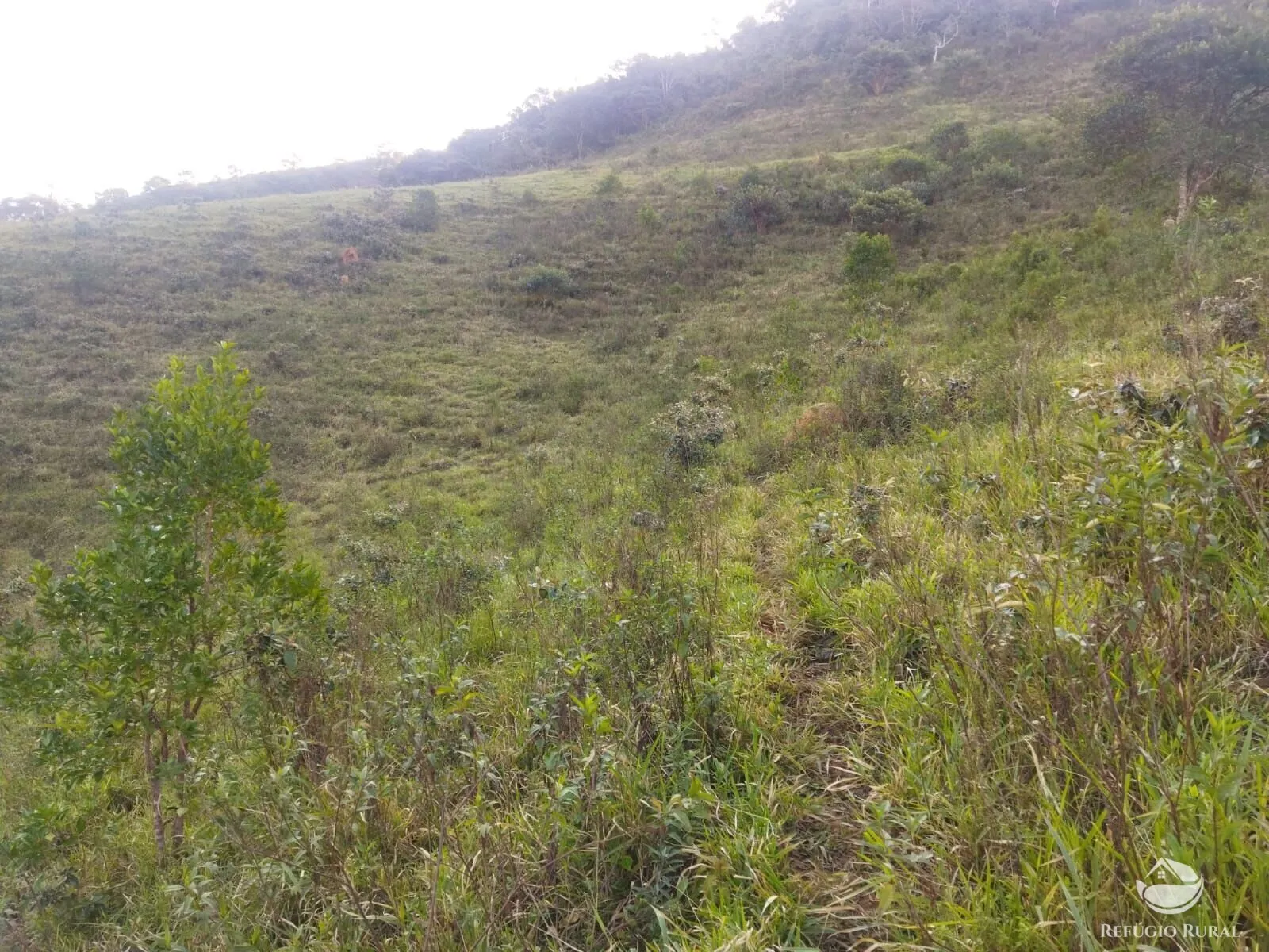Terreno à venda de 2 ha em São José dos Campos, SP, Brasil