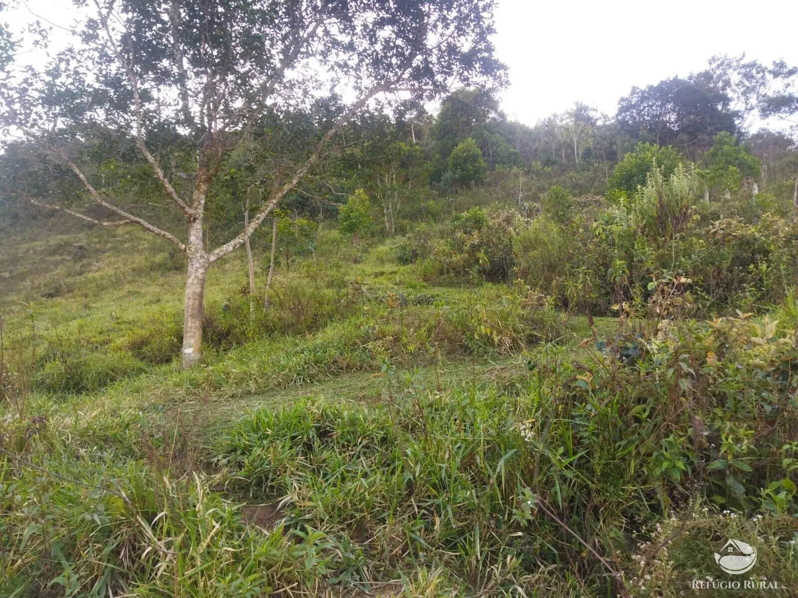 Terreno à venda de 2 ha em São José dos Campos, SP, Brasil