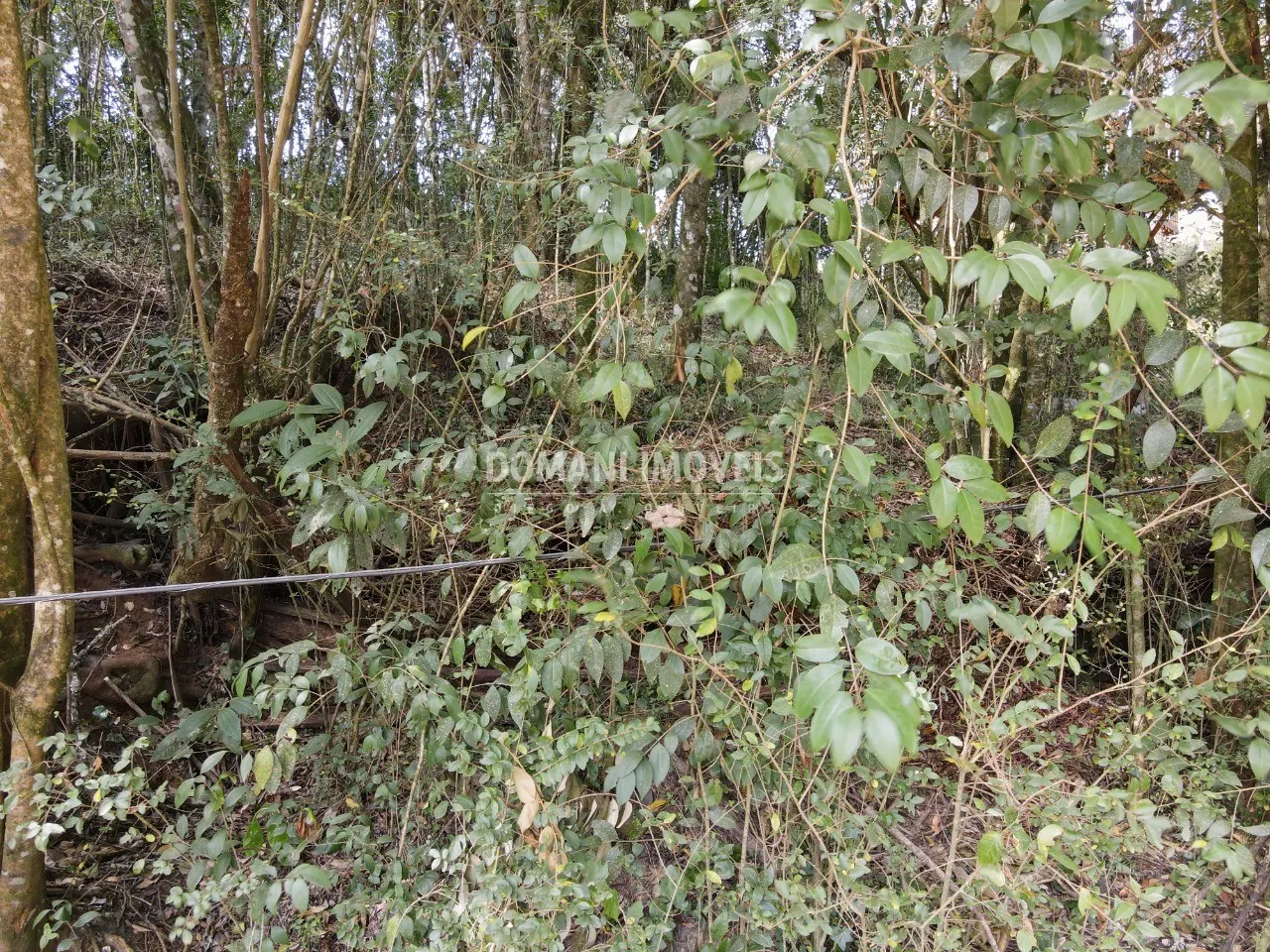 Terreno à venda de 1.040 m² em Campos do Jordão, SP, Brasil