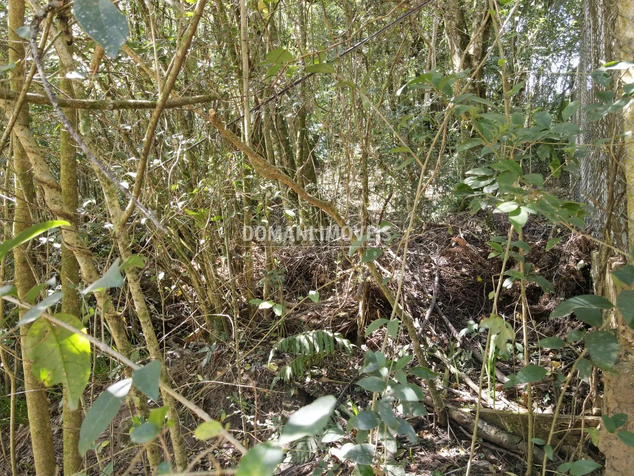 Terreno à venda de 1.040 m² em Campos do Jordão, SP, Brasil
