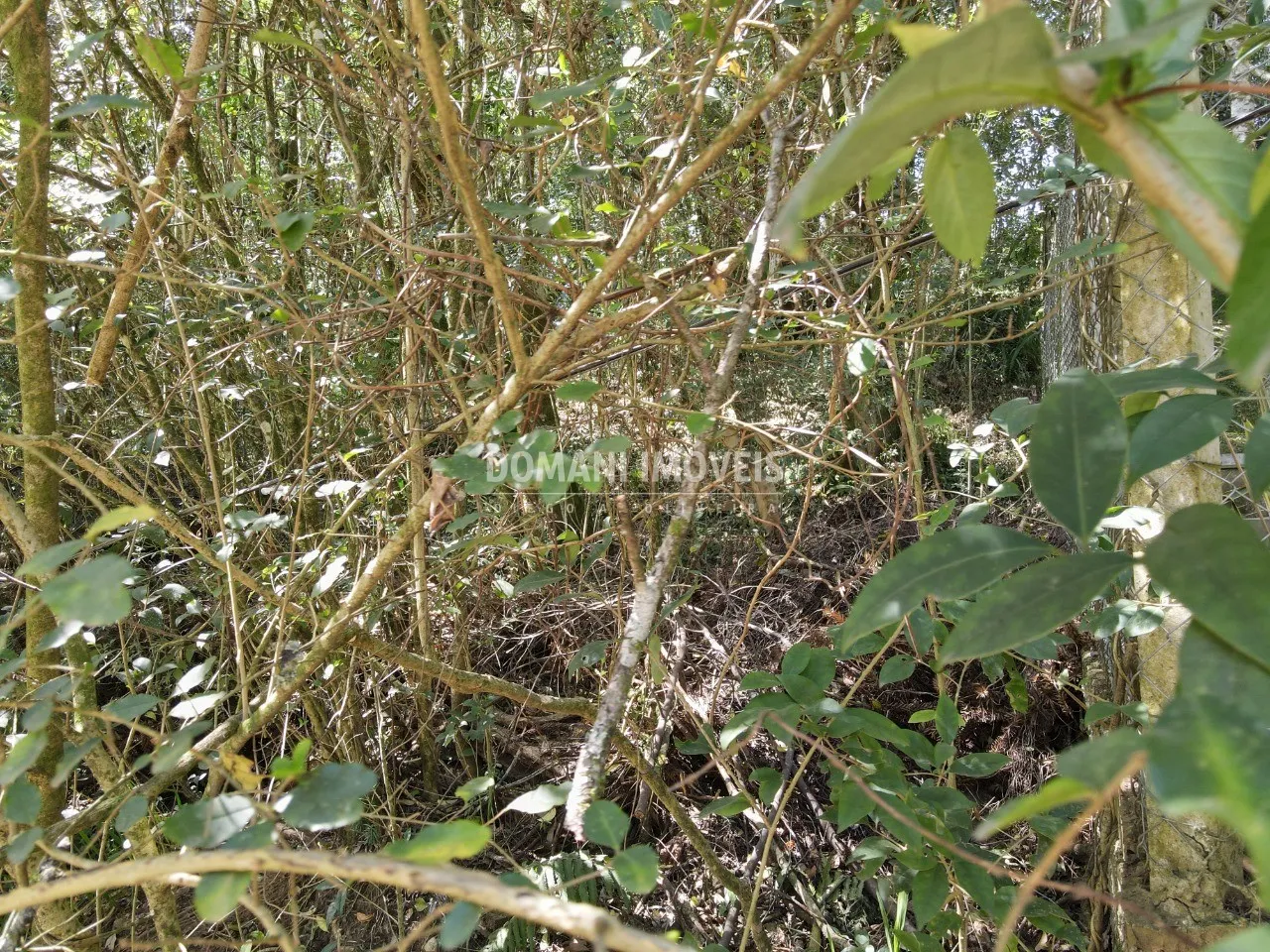 Terreno à venda de 1.040 m² em Campos do Jordão, SP, Brasil
