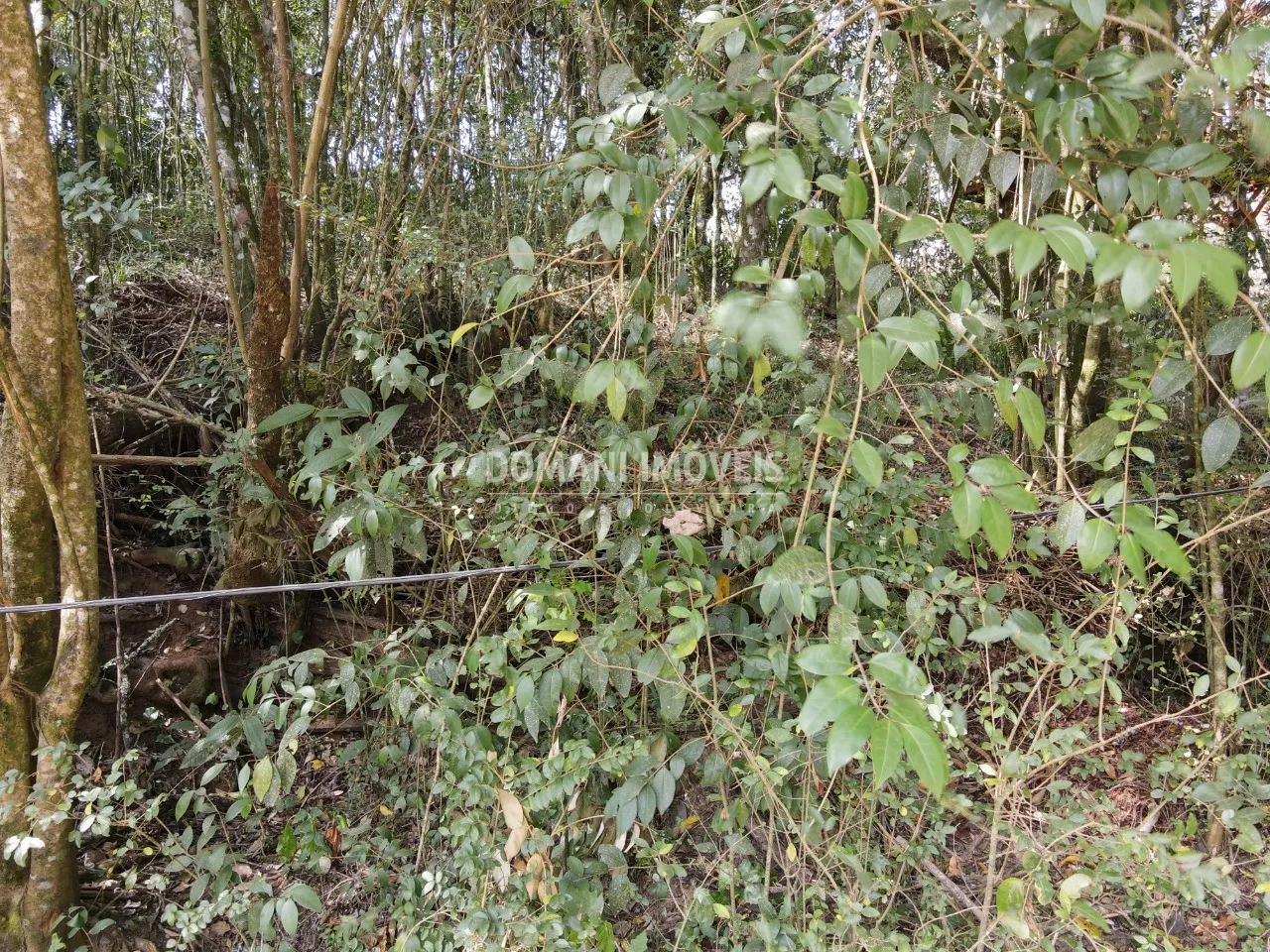 Terreno à venda de 1.040 m² em Campos do Jordão, SP, Brasil