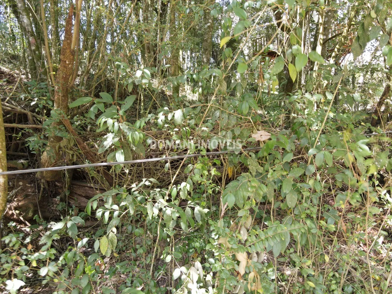 Terreno à venda de 1.040 m² em Campos do Jordão, SP, Brasil