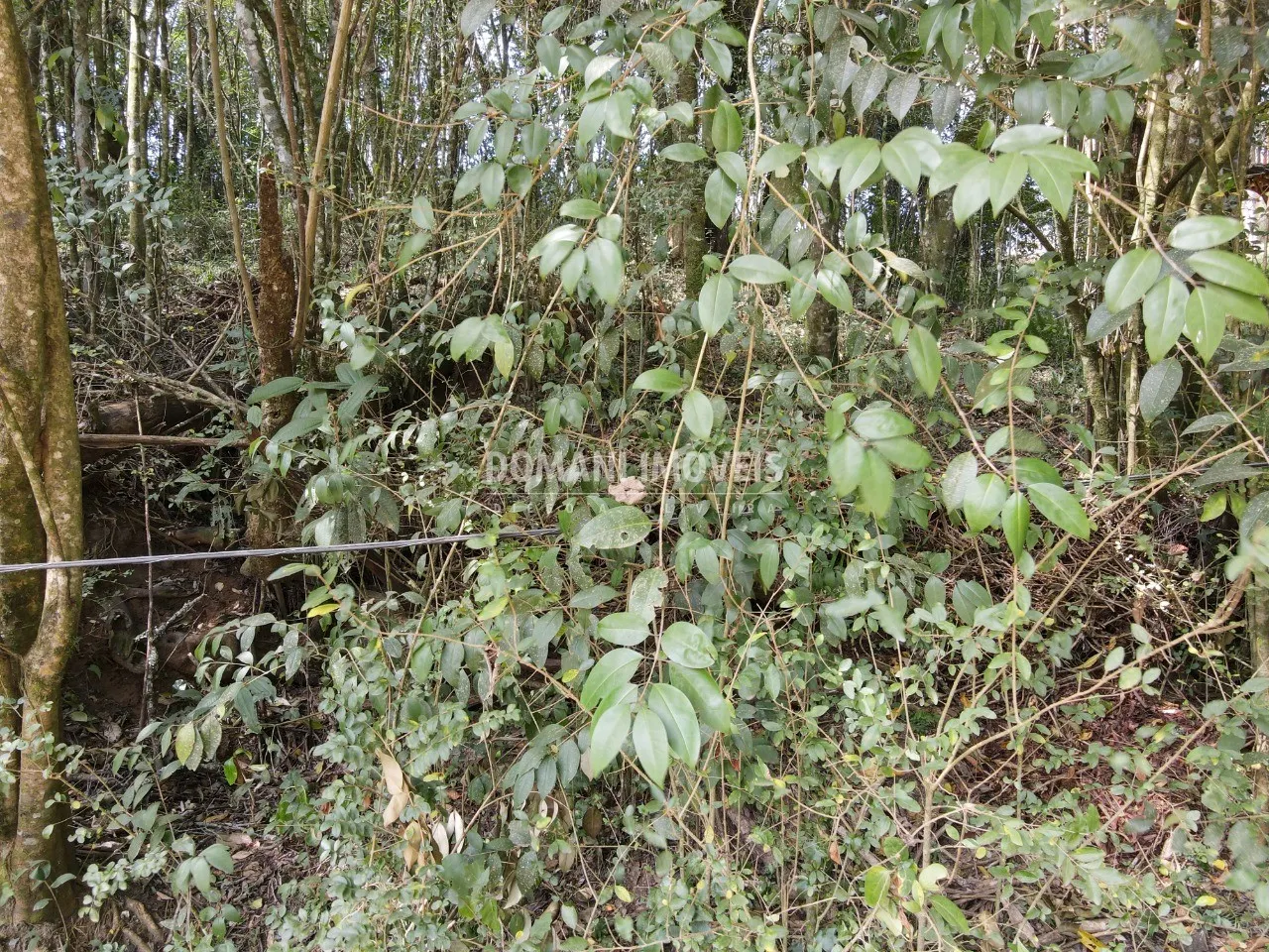 Terreno à venda de 1.040 m² em Campos do Jordão, SP, Brasil