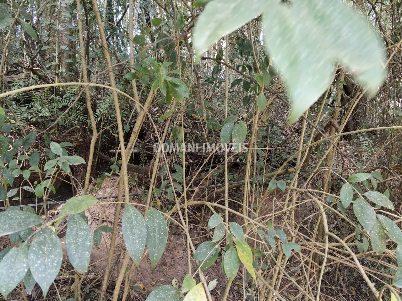 Terreno à venda de 1.040 m² em Campos do Jordão, SP, Brasil