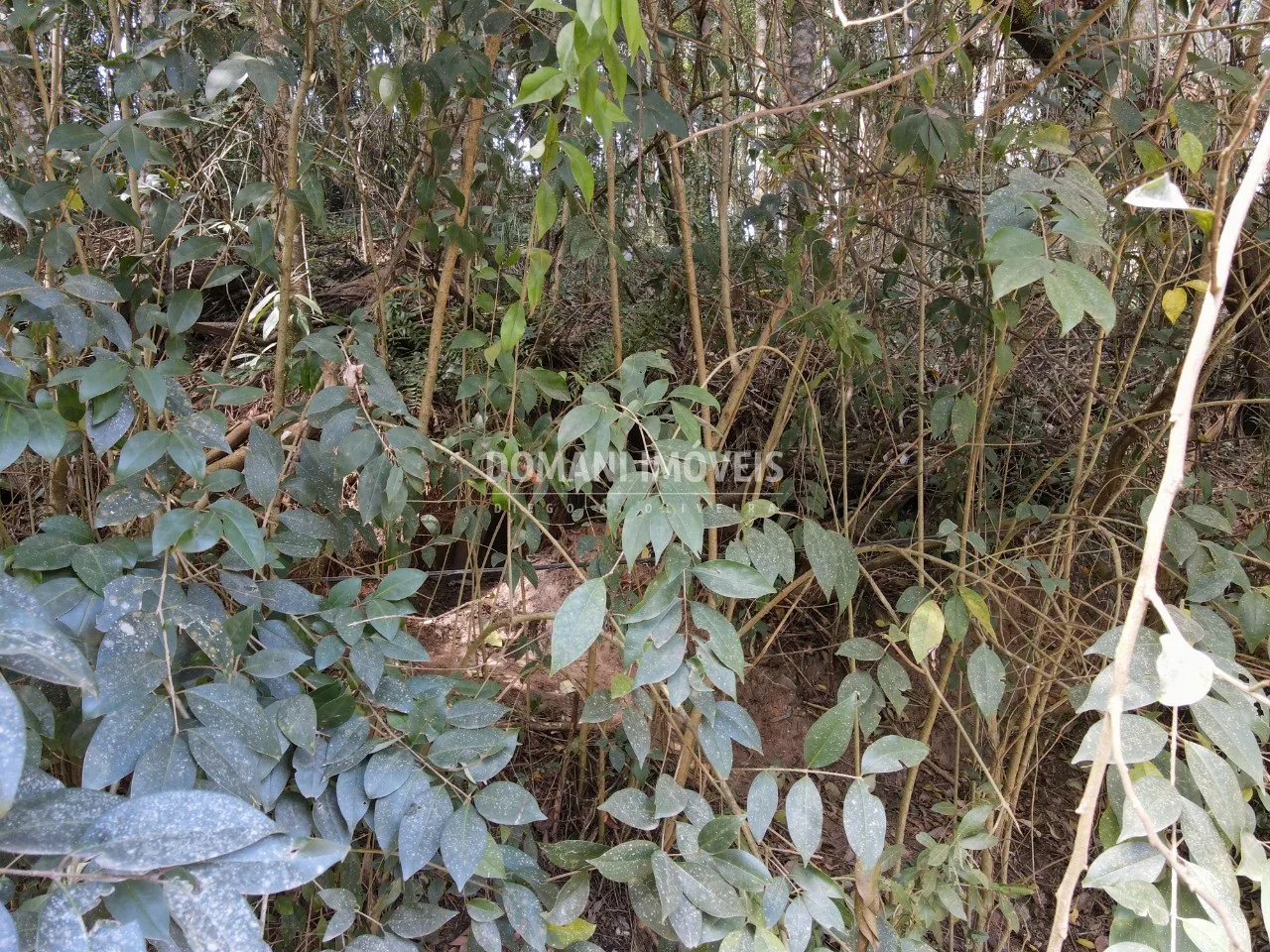 Terreno à venda de 1.040 m² em Campos do Jordão, SP, Brasil