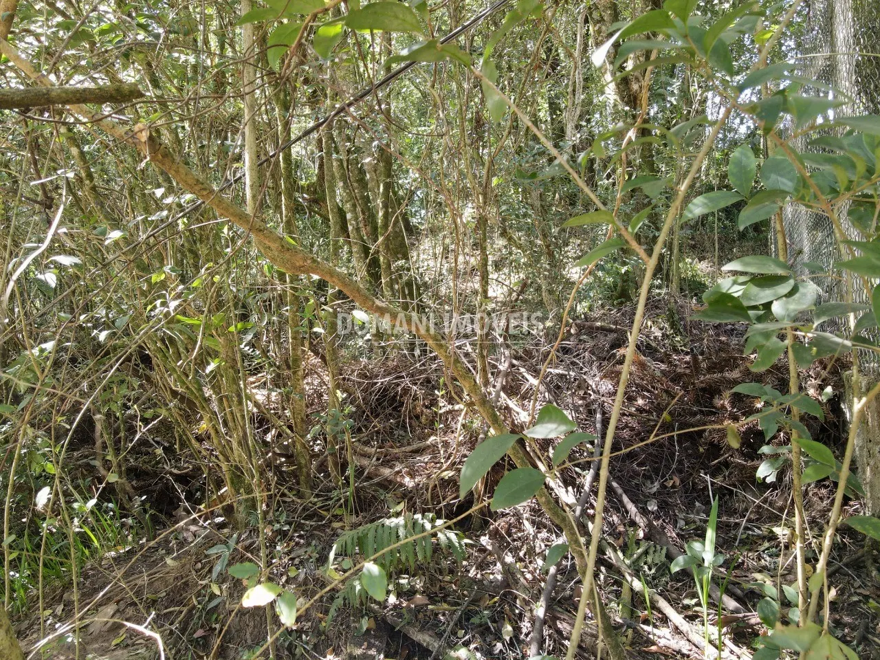 Terreno à venda de 1.040 m² em Campos do Jordão, SP, Brasil