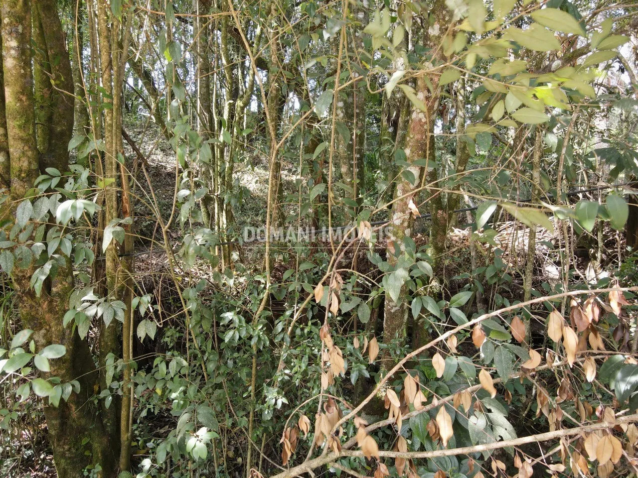 Terreno à venda de 1.040 m² em Campos do Jordão, SP, Brasil