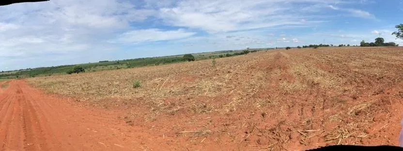 Fazenda à venda de 51 ha em Fernandópolis, SP, Brasil