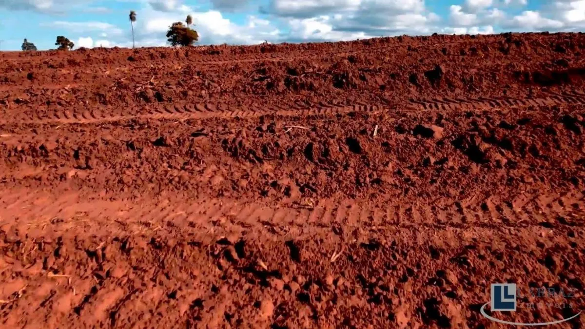 Fazenda à venda de 60 ha em Jales, SP, Brasil