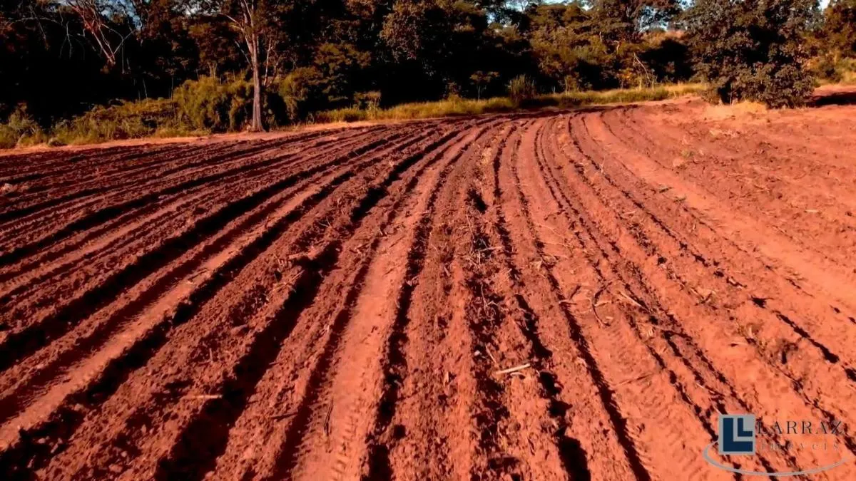 Fazenda à venda de 60 ha em Jales, SP, Brasil